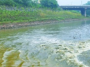 涿州市污水清运多少钱